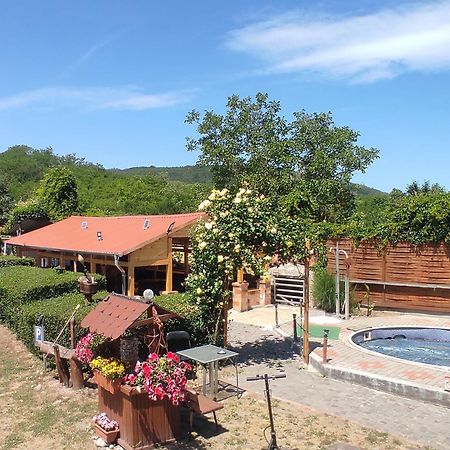 Guesthouse Ilona Velky Kamenec Eksteriør billede