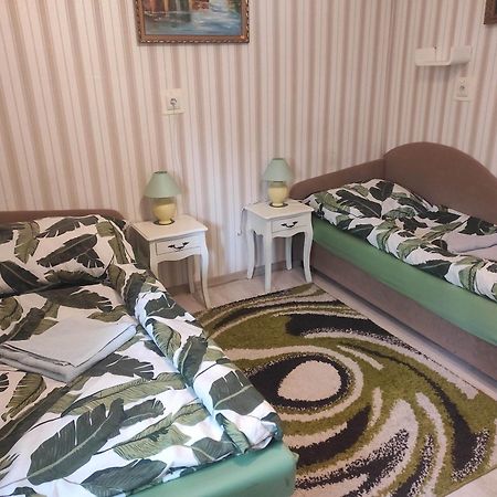 Guesthouse Ilona Velky Kamenec Eksteriør billede